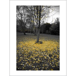 Autumn tree with yellow leaves print