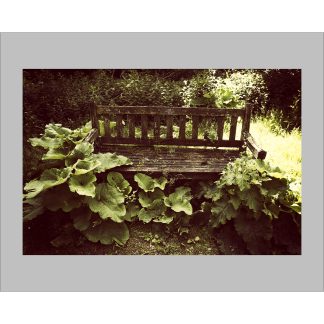 life death bench