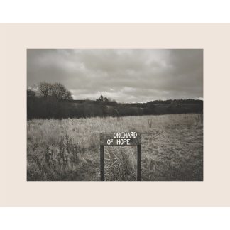Orchard Of Hope Photographic Print