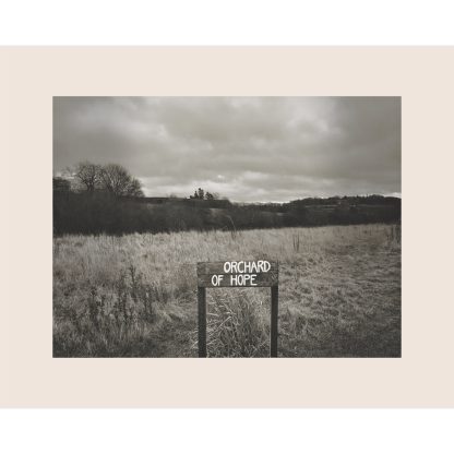 Orchard Of Hope Photographic Print