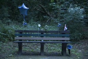 Balloon Bench