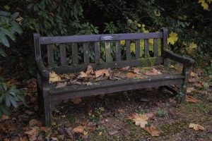 Leafy Bench