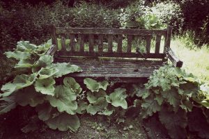 Entropy Bench