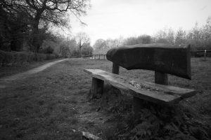 Sawn Timber Bench