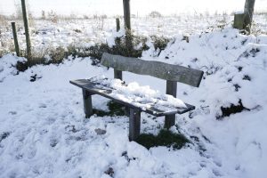 Snowy Bench