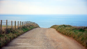 Landscape photo