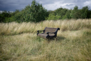 Landscape photo