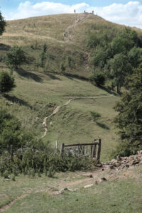 Landscape photo